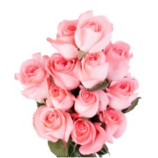 Pink Roses In a Bunch